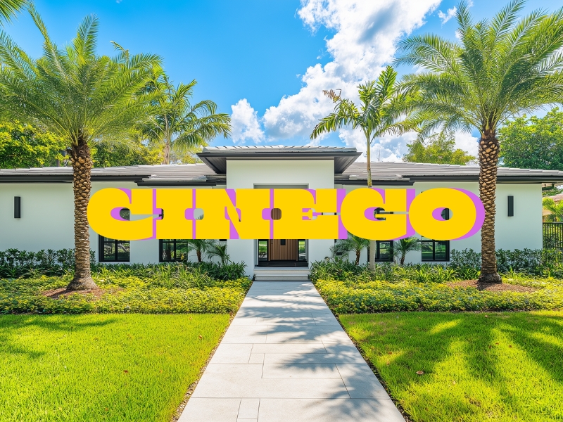 Cinego Free Full HD Movie Platform in the US Cinego Free Full HD Movie Platform in the US